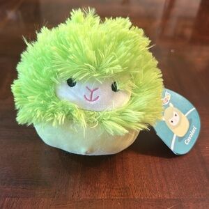 Squishmallows 5" Cavaleri the Alpaca Kellytoy Plush Toy